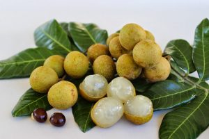 Manfaat Kelengkeng Bagi Kesehatan Tubuh