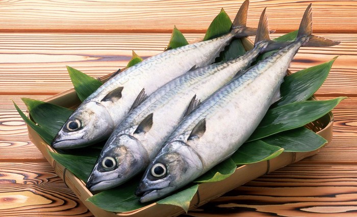 Impor-Ikan-Dinilai-Tak-Ganggu-Harga-Pasar