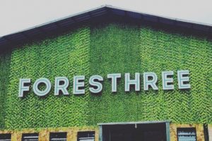 ForesThree, Cafe Baru Dengan Suasana Hutan Yang Wajib Dikunjungi Saat Berwisata Ke Bogor!