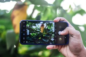 Redmi Note 8, Smartphone yang memiliki banyak kelebihan
