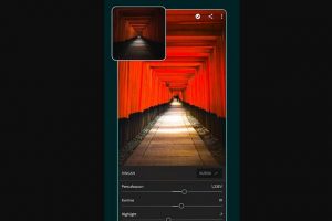 Adobe Lightroom Editor Photo