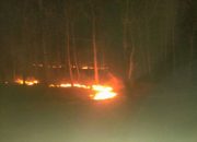 Breaking News : Kebakaran Hutan Jati Situbondo Menjalar Ke Arah Banyuwangi