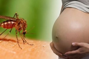 Virus Zika Sudah Masuk Indonesia, Masyarakat Harap Waspada!