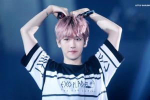 Baekhyun EXO Terserang Demam Pen Pineapple Apple Pen Di EXO'rDIUM Jepang