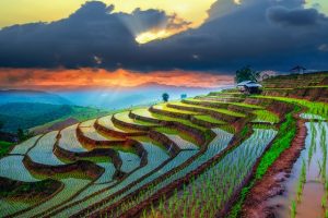 Lokasi Wisata Menyegarkan Mata Di Vietnam yang Wajib Dikunjungi