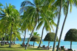 Destinasi Wisata Yang Wajib Dikunjungi Di Malaysia