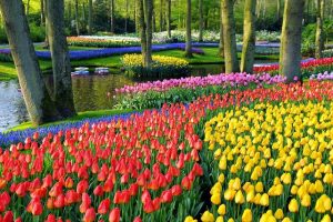 Destinasi Wisata Yang Wajib Dikunjungi Saat Berlibur Ke Belanda