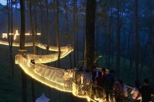 Orchid Forest Cikole Jadi Destinasi Wisata Digital Yang Menakjubkan!