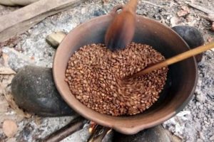 Mengenal Sangtra, Kopi Asal Pegunungan Latimojong Sulawesi Selatan