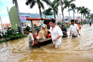 Gambar Banjir Lucu