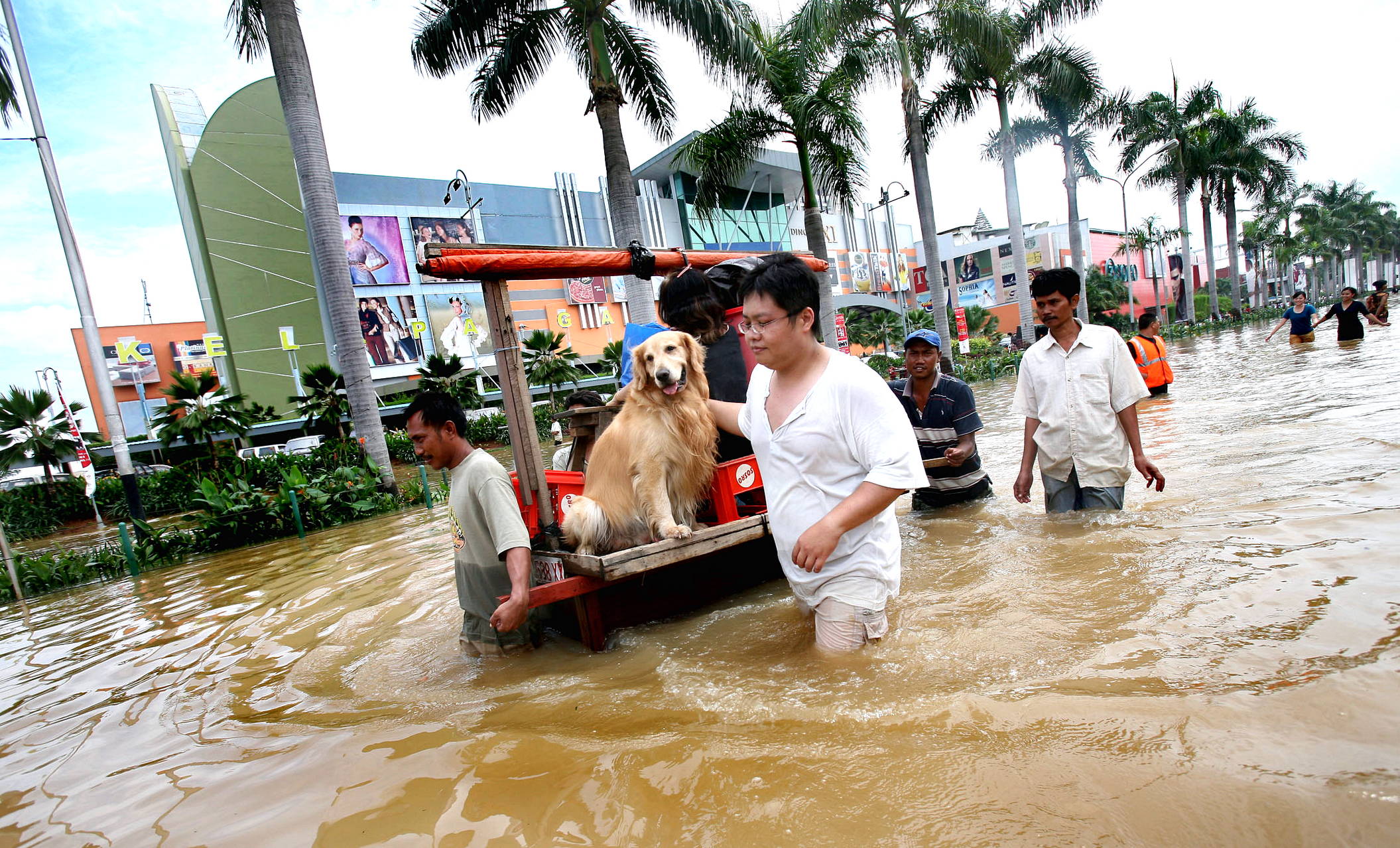 Gambar Banjir Lucu Harian Nusantara
