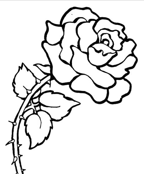  Gambar Bunga Mawar Kartun  Harian Nusantara