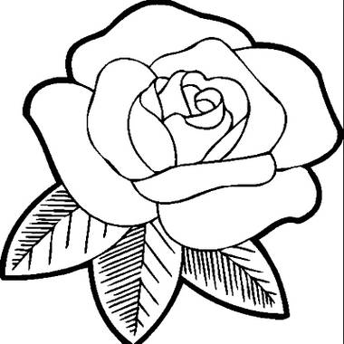 Gambar Bunga Kartun Mawar Gambar Bunga