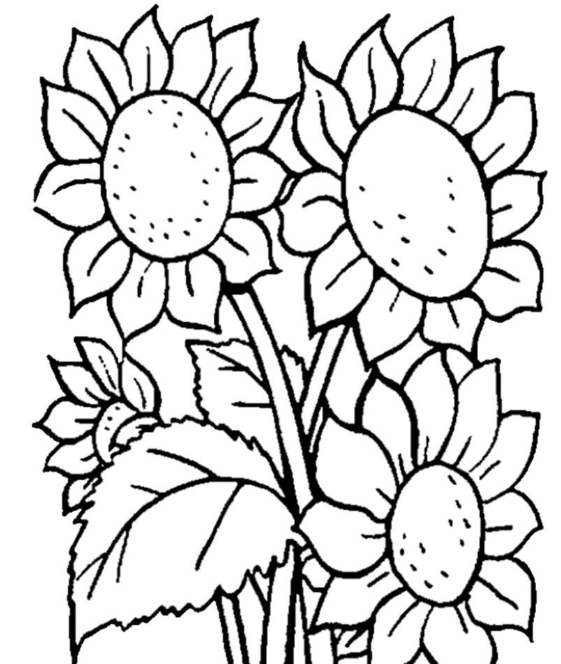 Gambar Bunga Mawar Kartun8 1