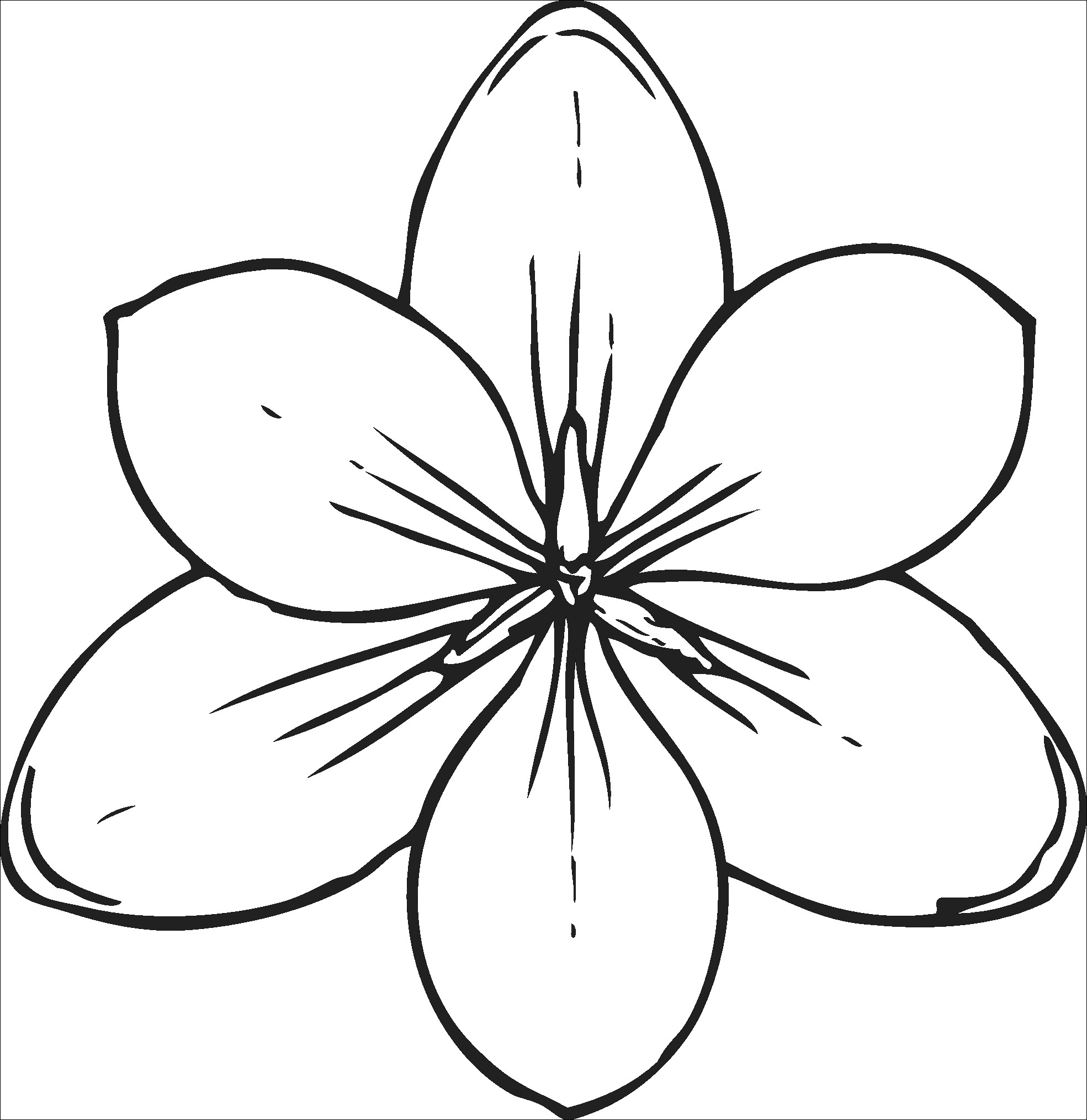 Gambar Bunga Sketsa Harian Nusantara