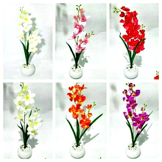  Gambar Hiasan Bunga  Harian Nusantara
