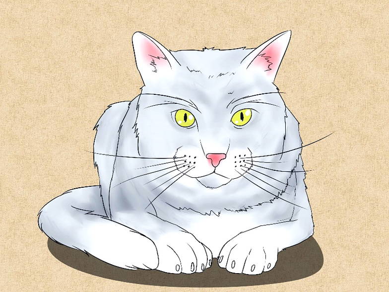  Gambar  Kartun  Kucing Lucu Harian Nusantara