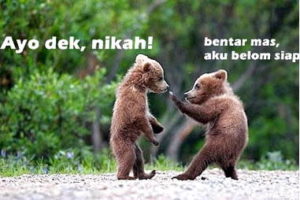 Gambar beruang lucu