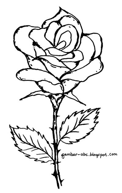 Kumpulan Gambar Kartun Bunga Mawar Harian Nusantara