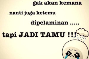 Status Gambar Lucu