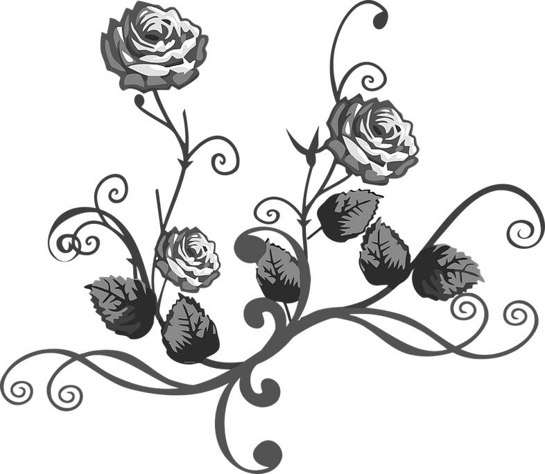 Gambar Setangkai Bunga Mawar Hitam Putih