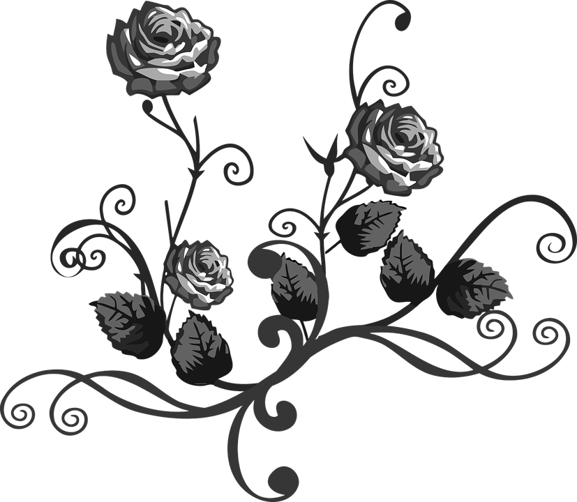 Gambar Bunga Mawar Hitam Putih Harian Nusantara