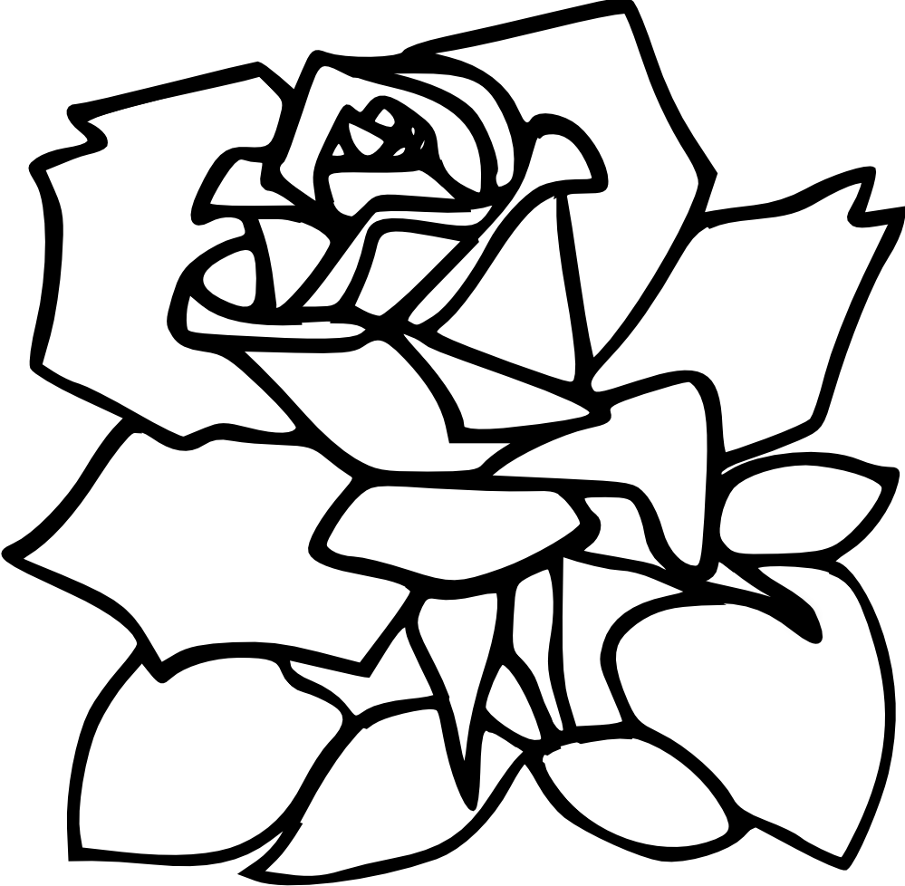  Gambar  Bunga  Mawar  Hitam  Putih  Harian Nusantara