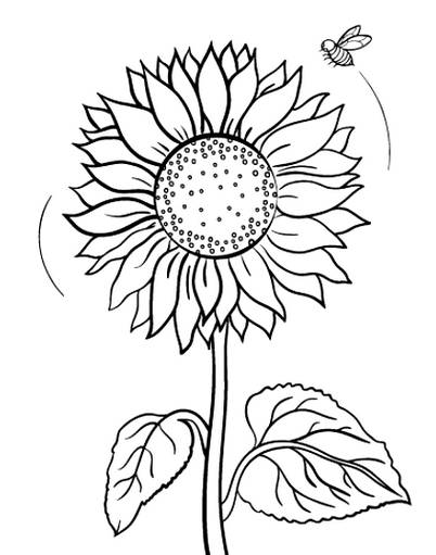 Sketsa gambar bunga