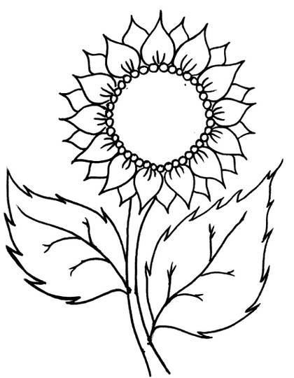 gambar sketsa bunga matahari3