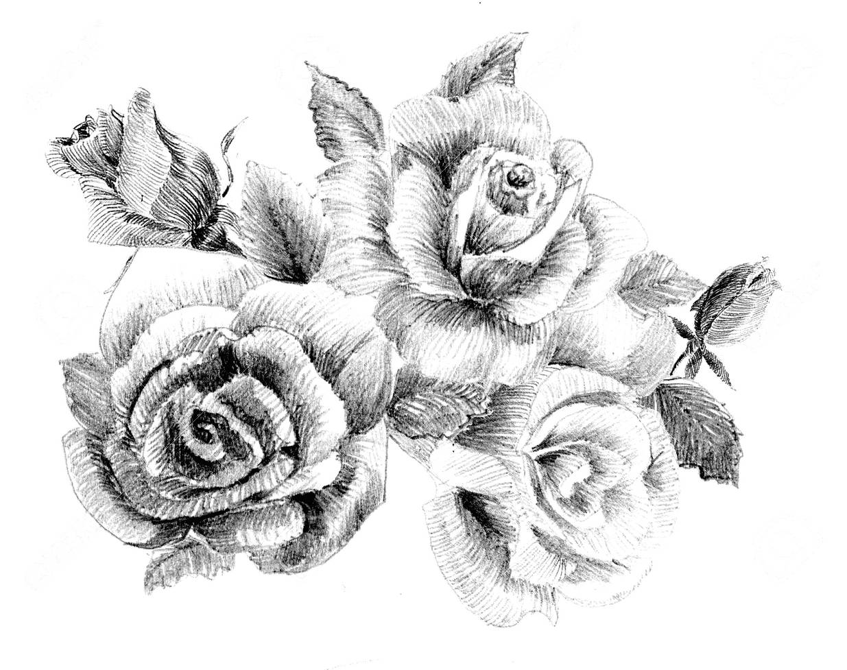 gambar sketsa bunga6