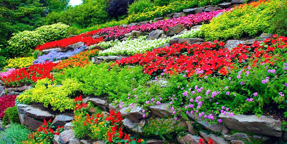 Gambar Taman Bunga Harian Nusantara