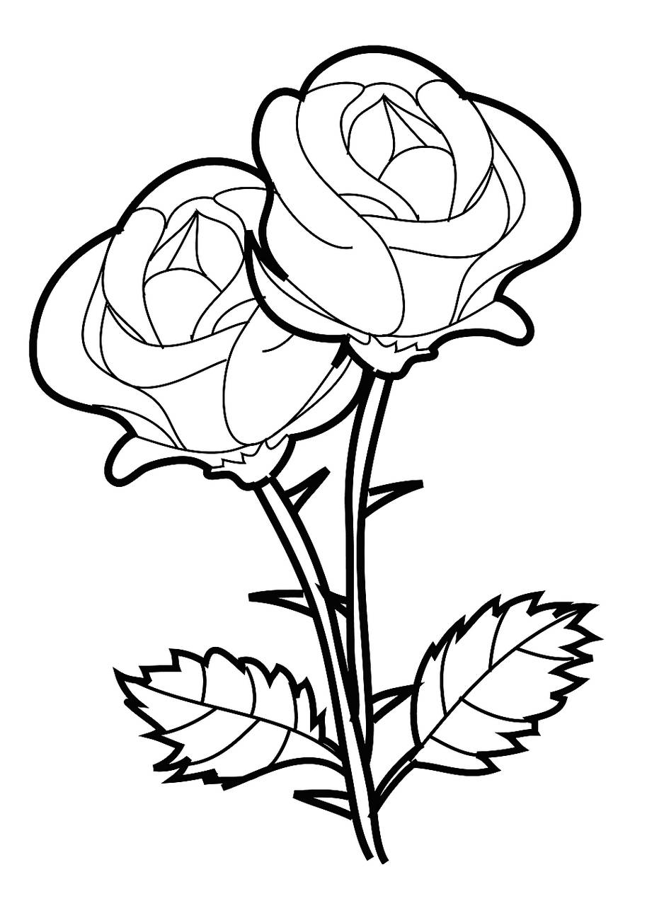 sketsa gambar bunga mawar2