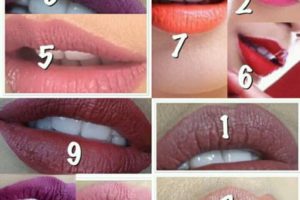 Daftar harga lipstik dissy