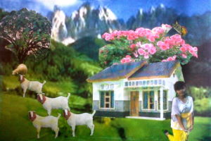 Montase Hewan Peliharaan Kumpulan Montase Kolase Dan Mozaik