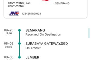 Cara Cek Resi JNE Terbaru Dengan Mudah