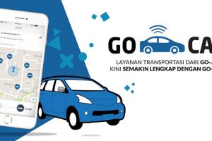 Gocar Driver