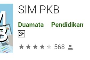 SIM PKB