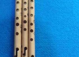 Fungsi Alat Musik Seruling dan Cara Memainkannya